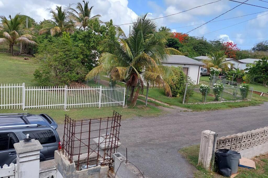 Conveniently Located, Quiet & Amp; Comfortable Christiansted Eksteriør bilde